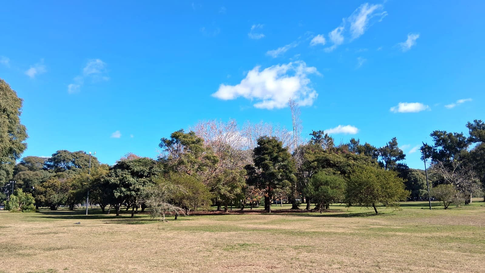 Parque Olimpico-Berlin