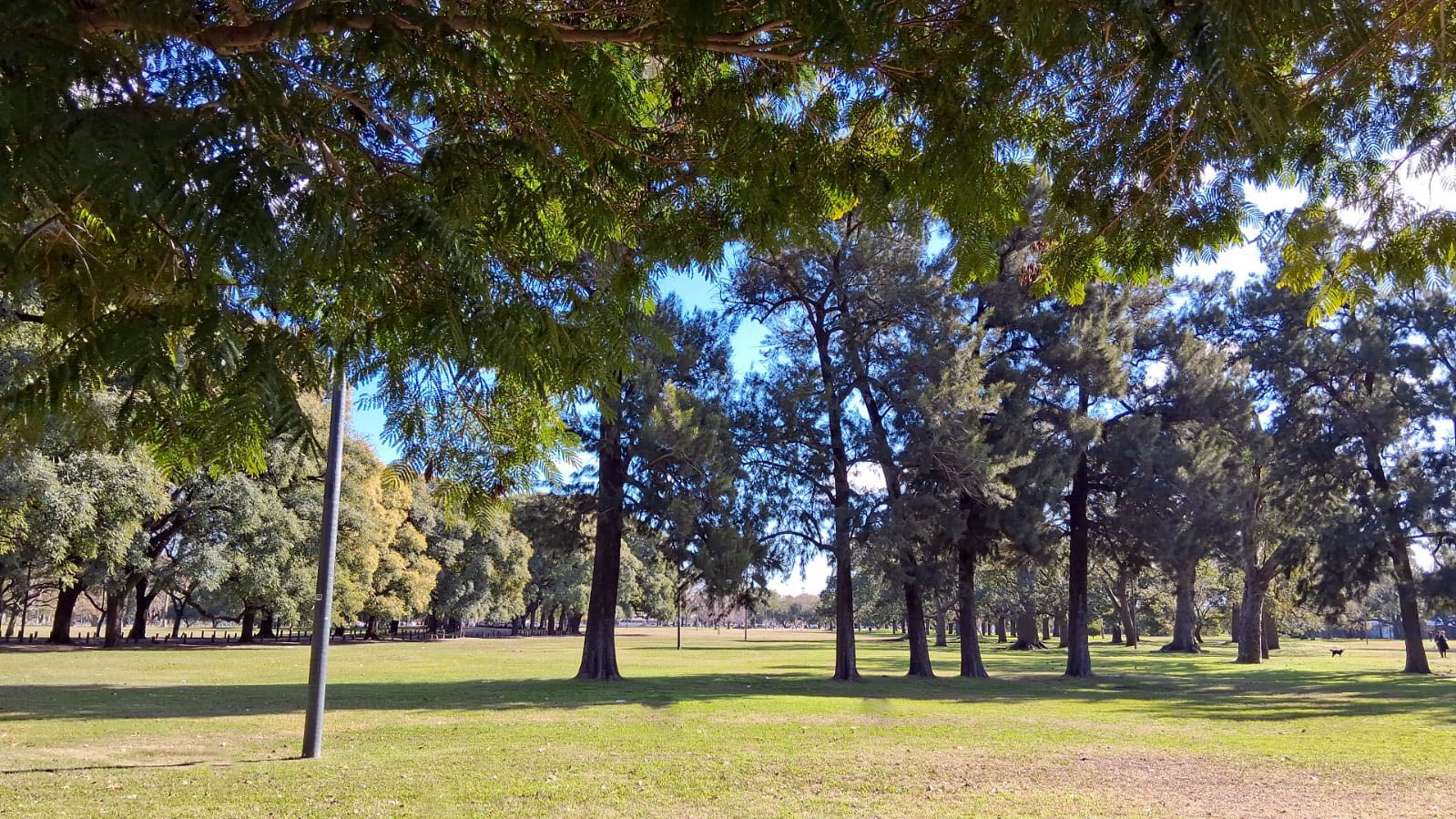 Parque Olimpico-Berlin