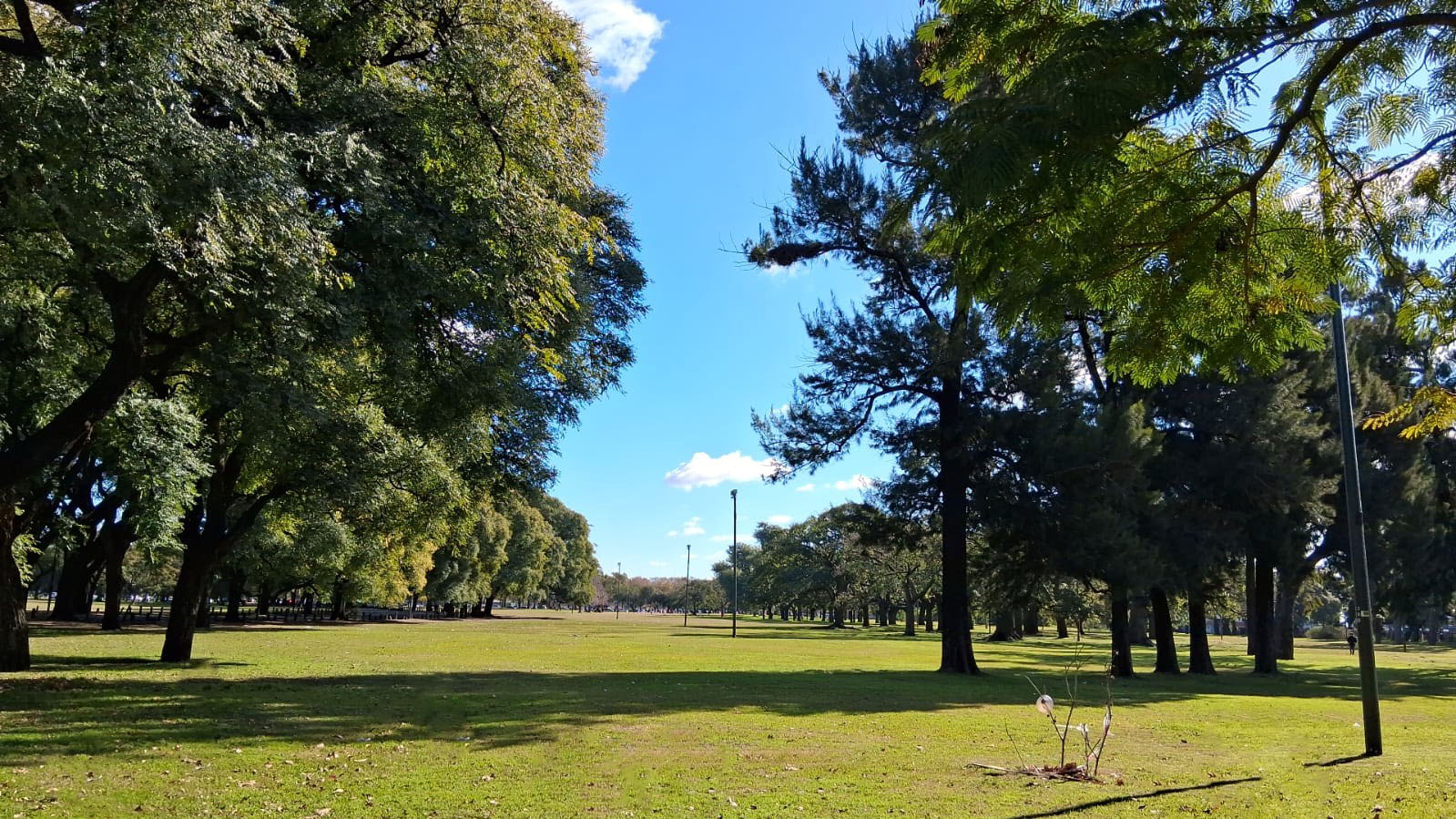 Parque Olimpico-Berlin