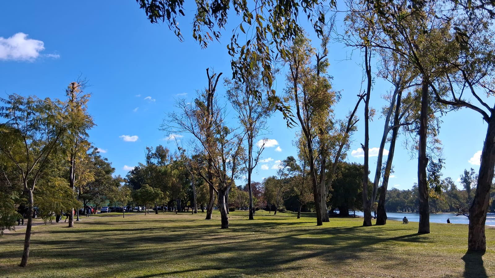 Paseo Ernesto Jaimovich