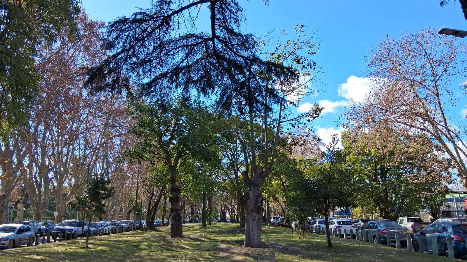 Paseo de los Ombues