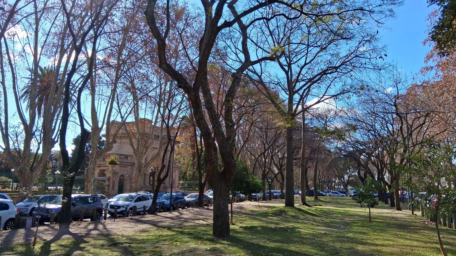 Paseo de los Ombues