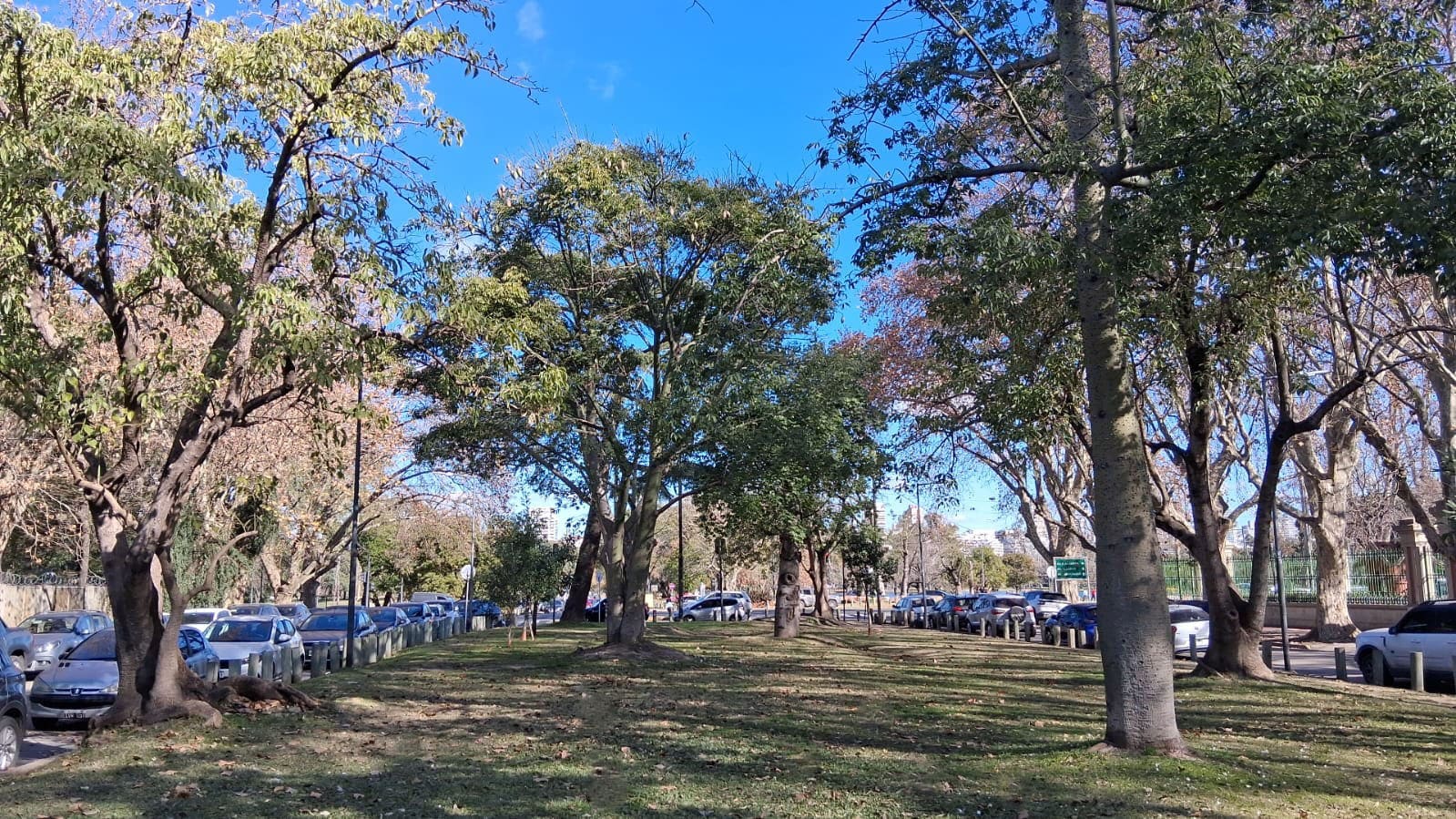 Paseo de los Ombues