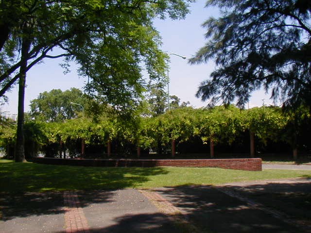 Plaza República Árabe de Egipto