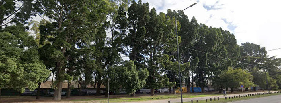 Plaza República de Pakistáni