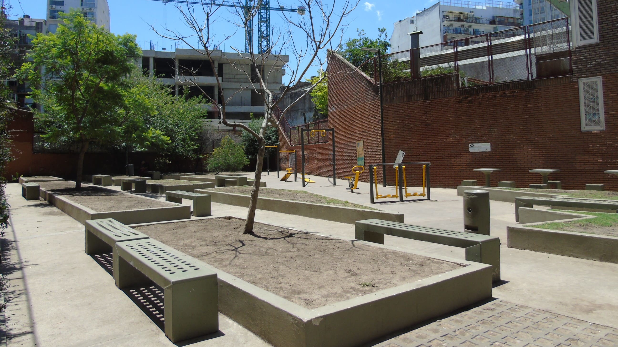Plaza del Jacarandá