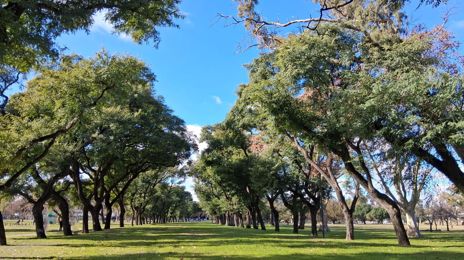 Plazoleta Florencio Sánchez