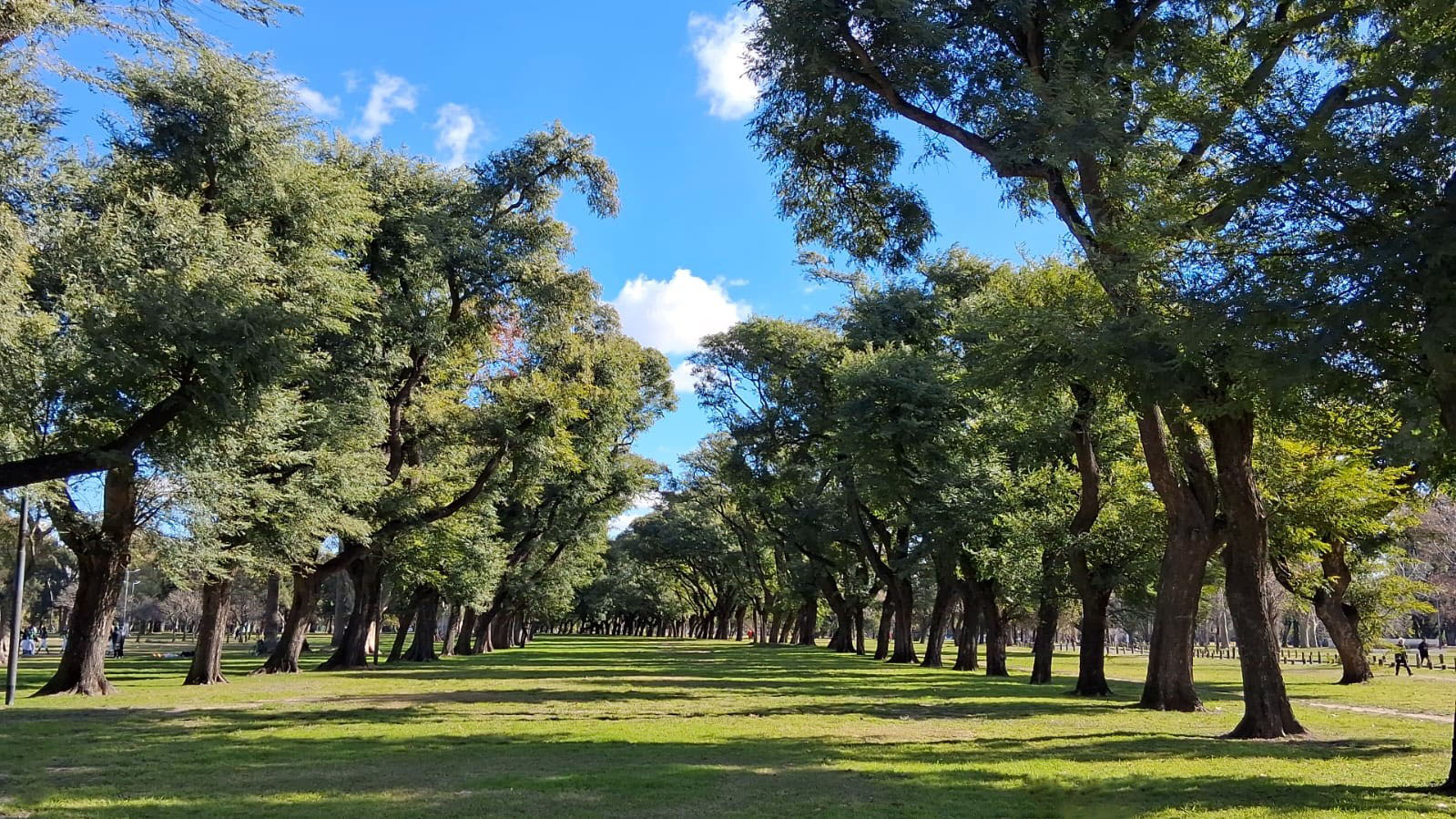 Plazoleta Florencio Sánchez