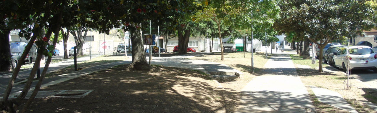 Plaza Jamaica