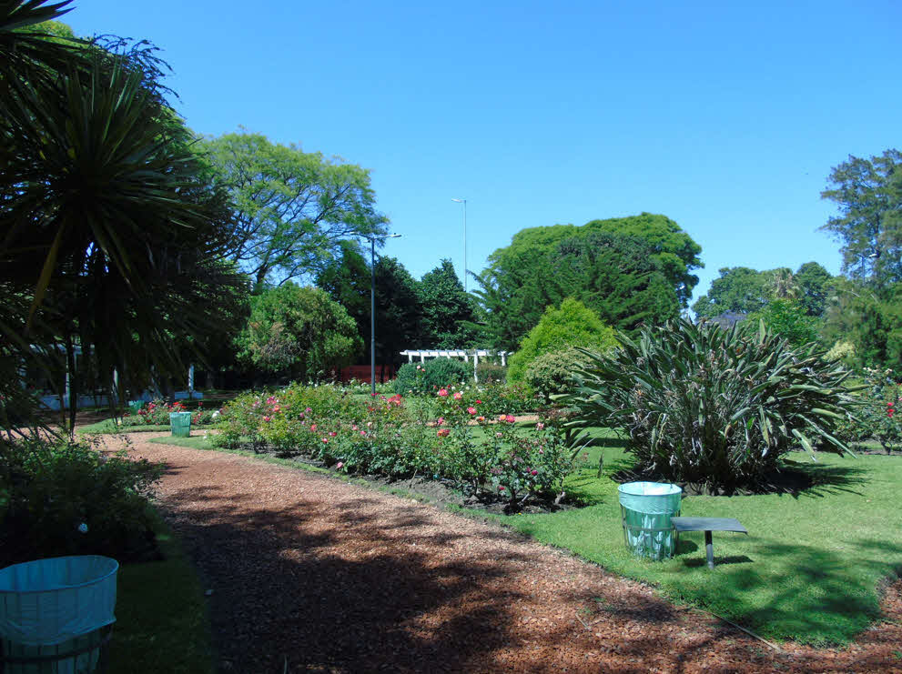 Vista del parque