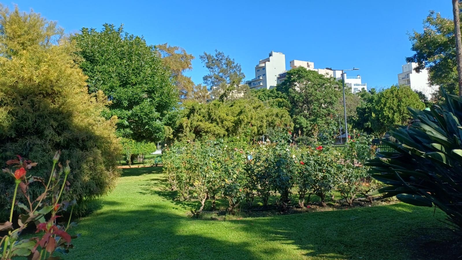 Parque Chacabuco