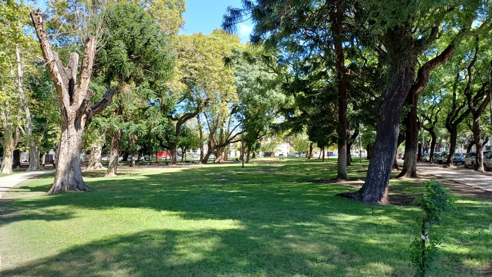 Imagen de galería 1
