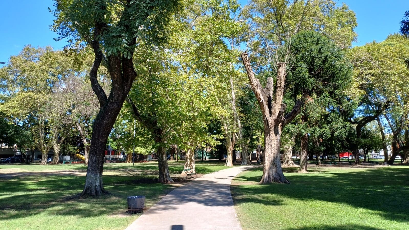 Imagen de galería 1