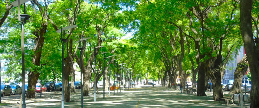 Boulevard Azucena Villaflor
