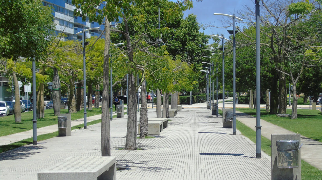 Cantero Central Rosario Vera Peñazola