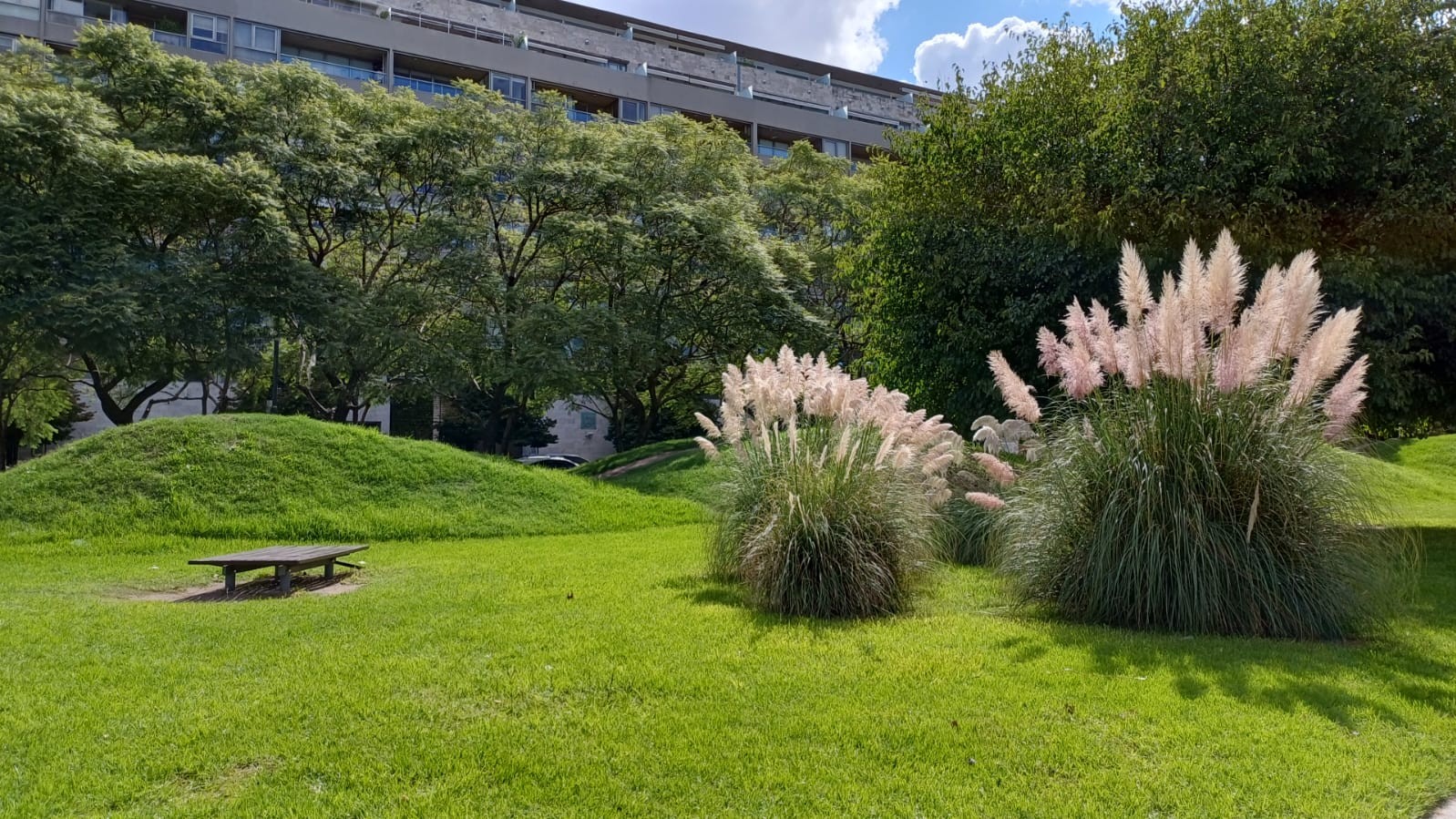 Parque Virginia Bolten
