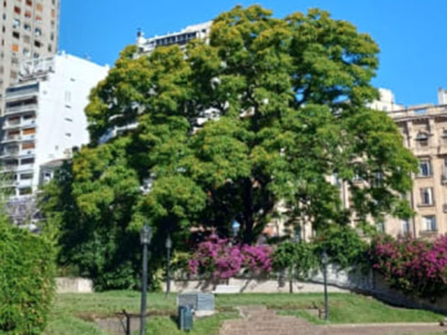 Plaza Jorge Luis Borges