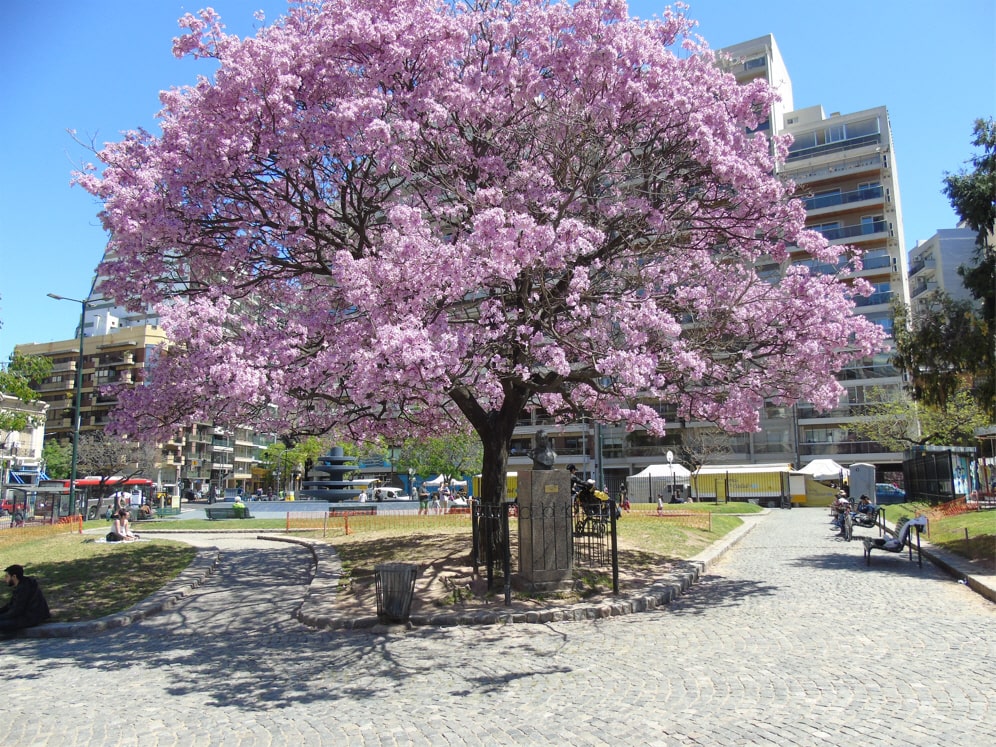 Plaza Mons. Miguel De Andrea