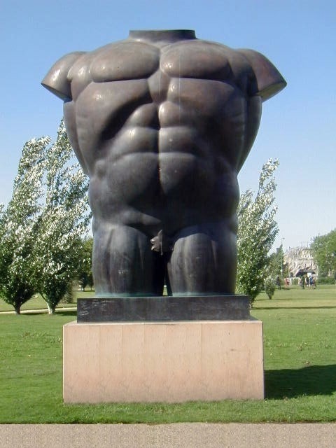 Torso Masculino