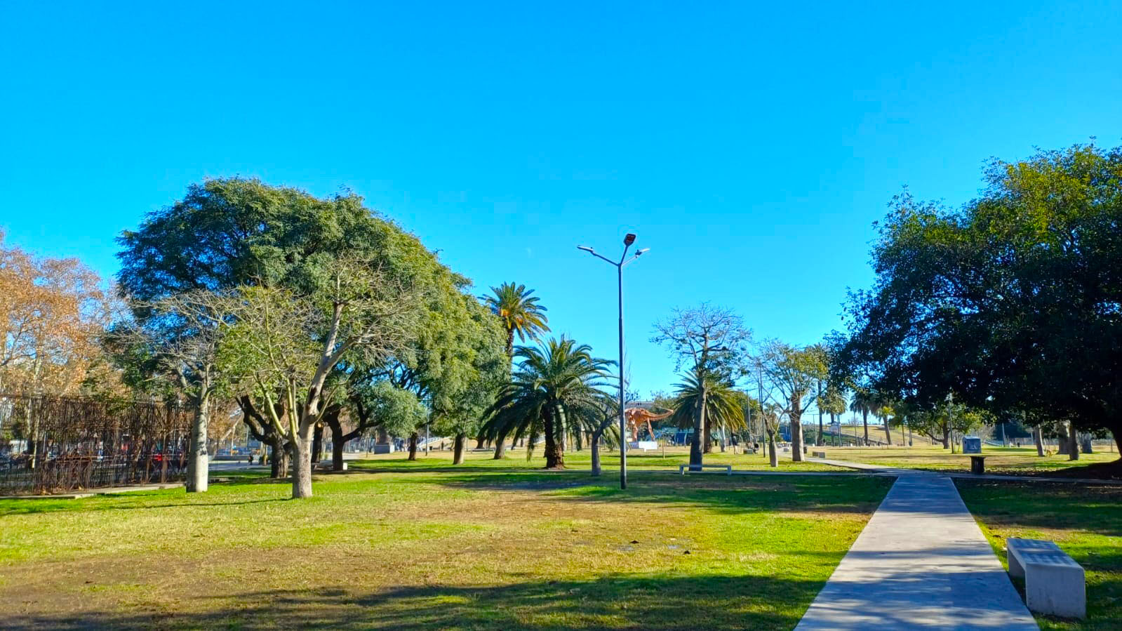 Imagen de galería 4