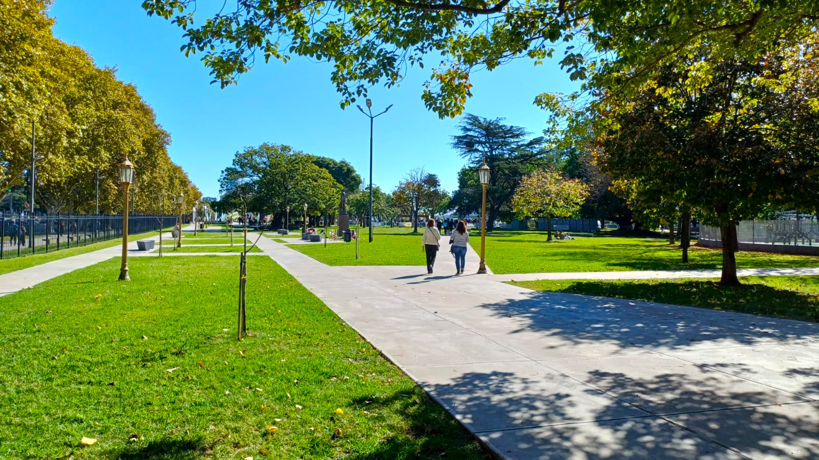 Imagen de galería 5