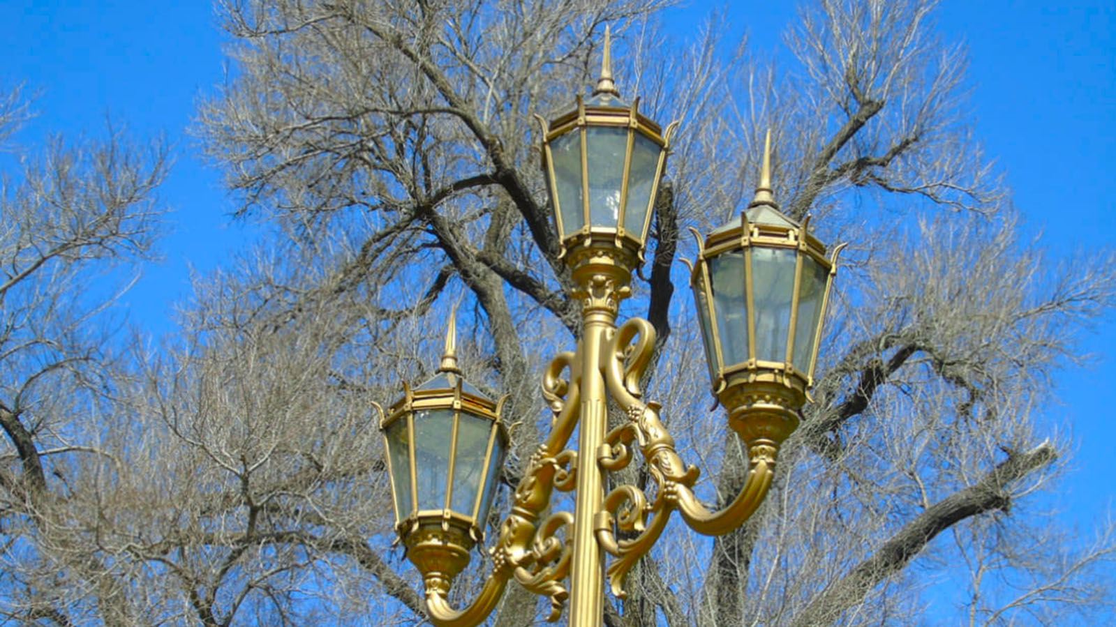 Imagen de galería 1