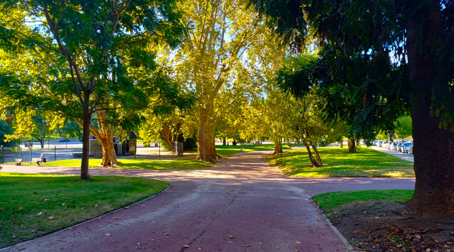 Imagen de galería 1