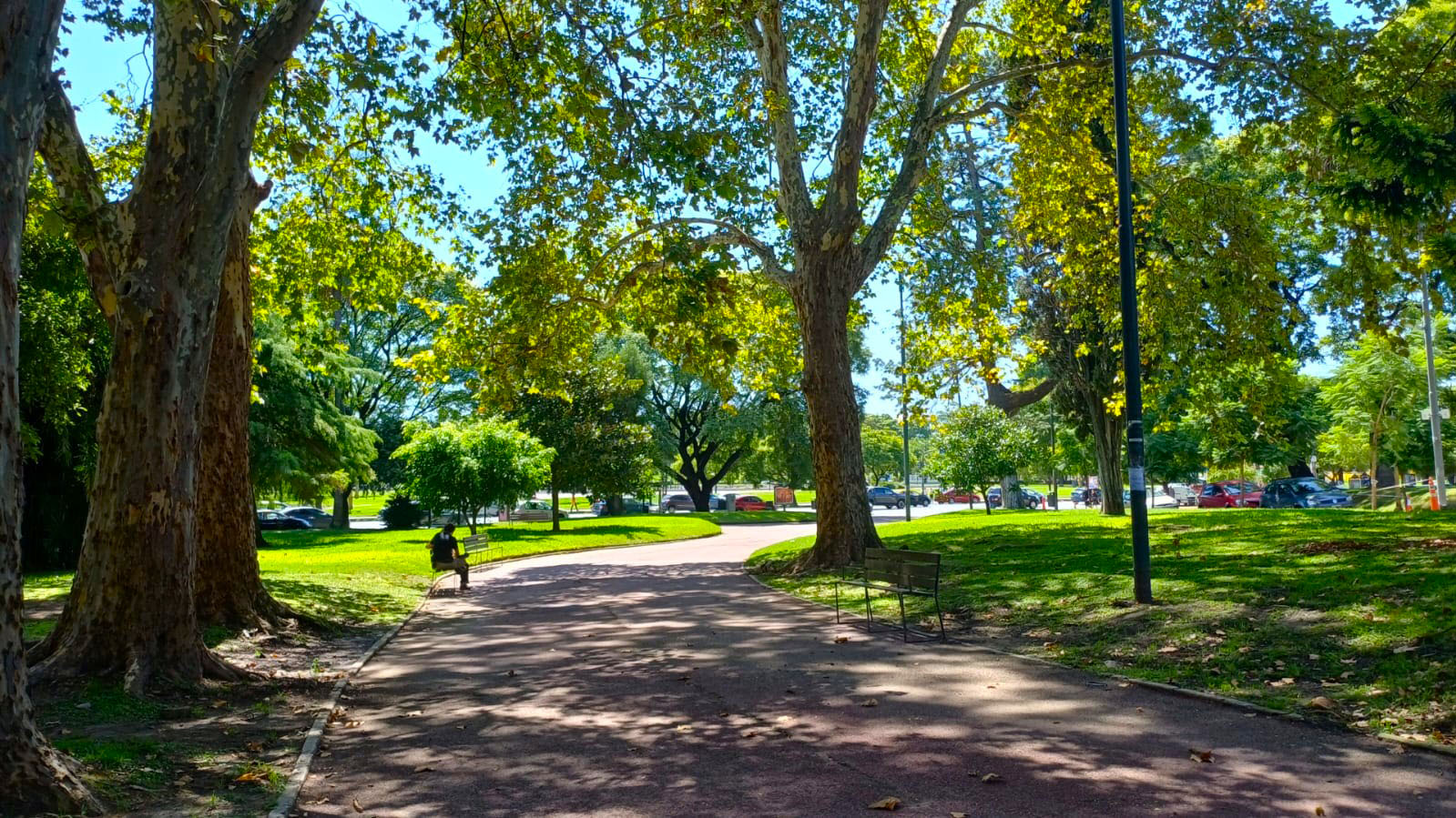 Imagen de galería 1