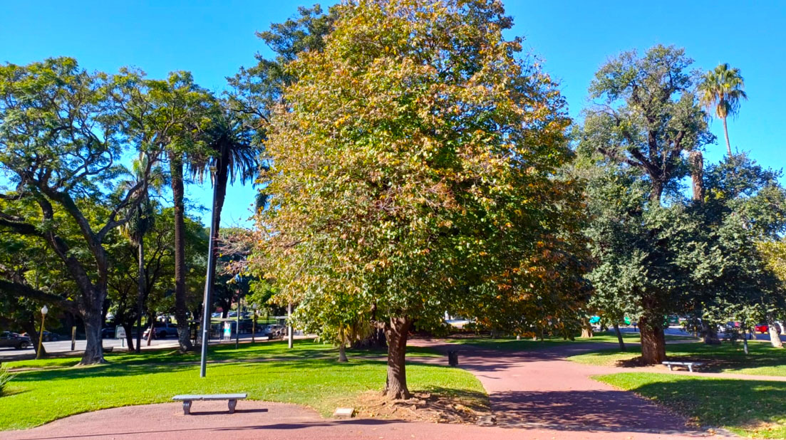 Imagen de galería 1