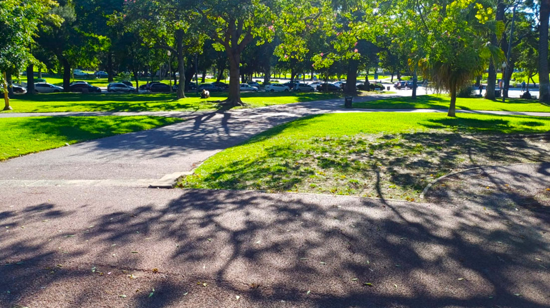 Imagen de galería 1