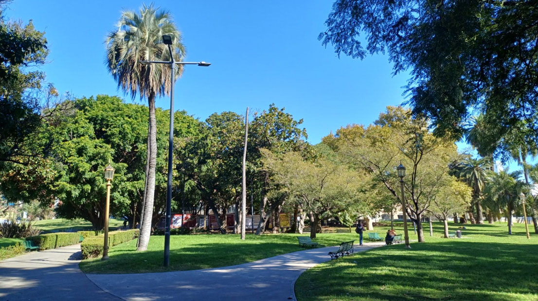 Imagen de galería 1