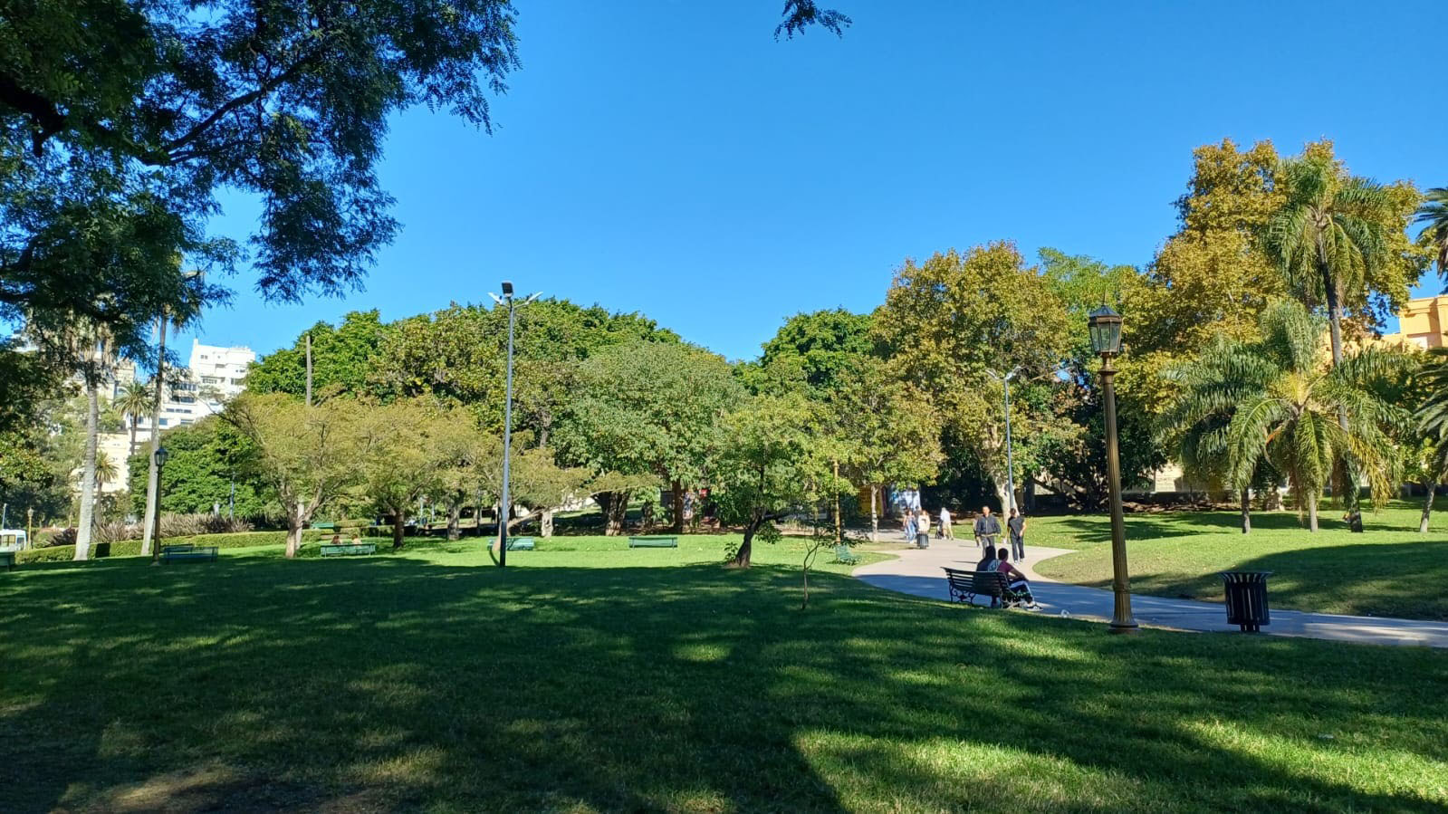 Int. Alvear