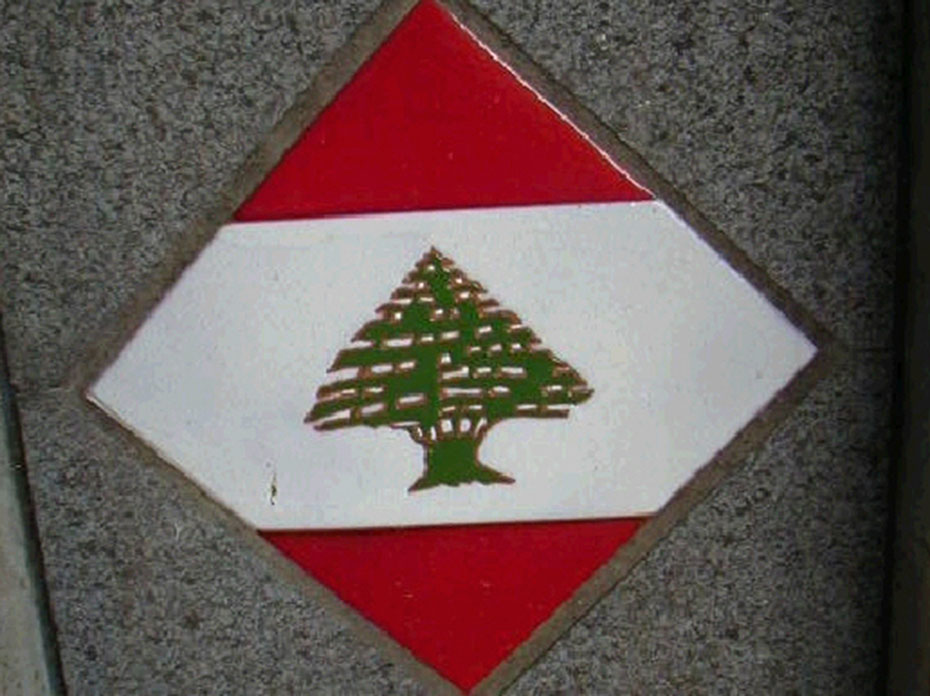 Imagen de galería 1