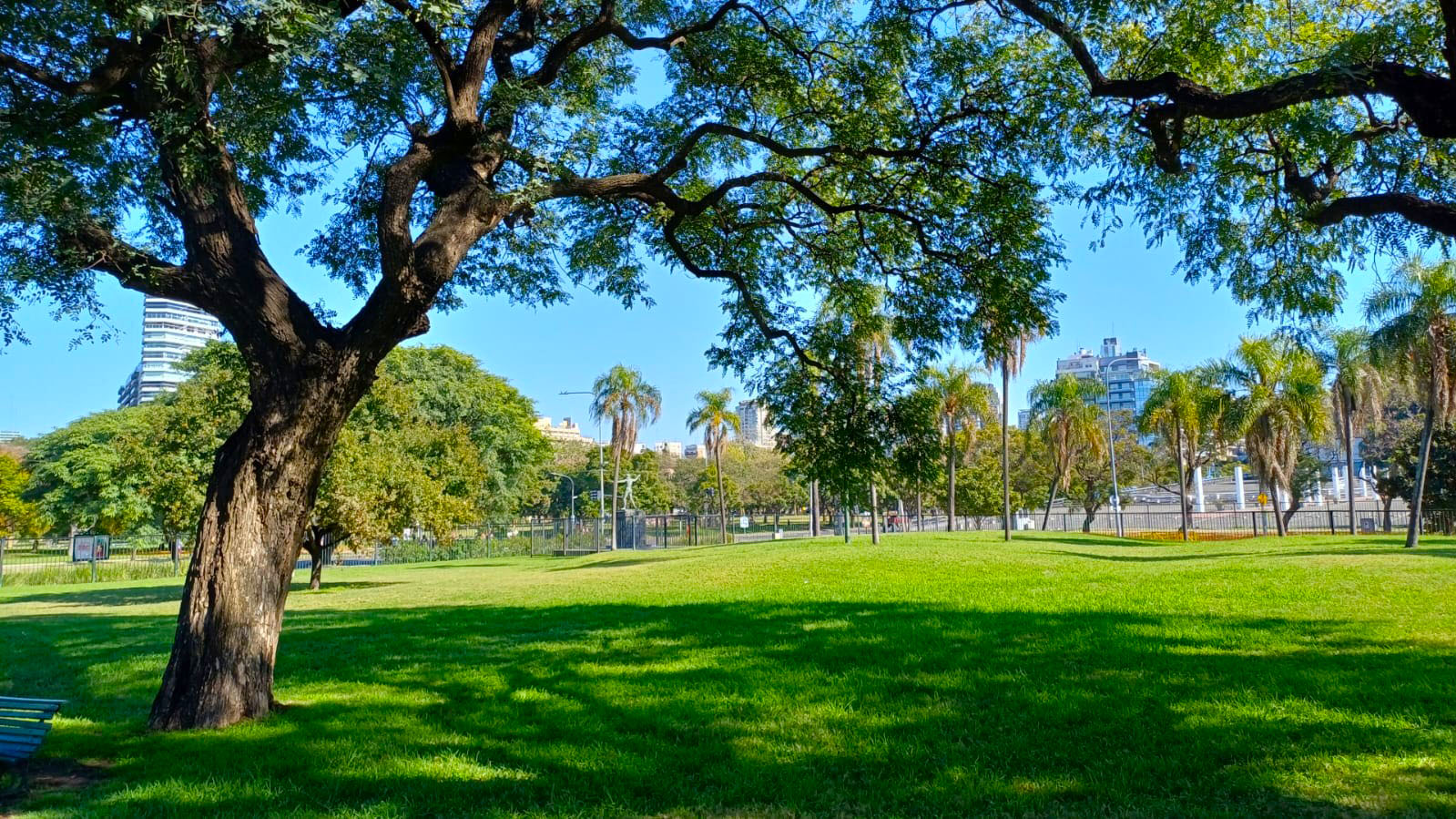 Imagen de galería 1