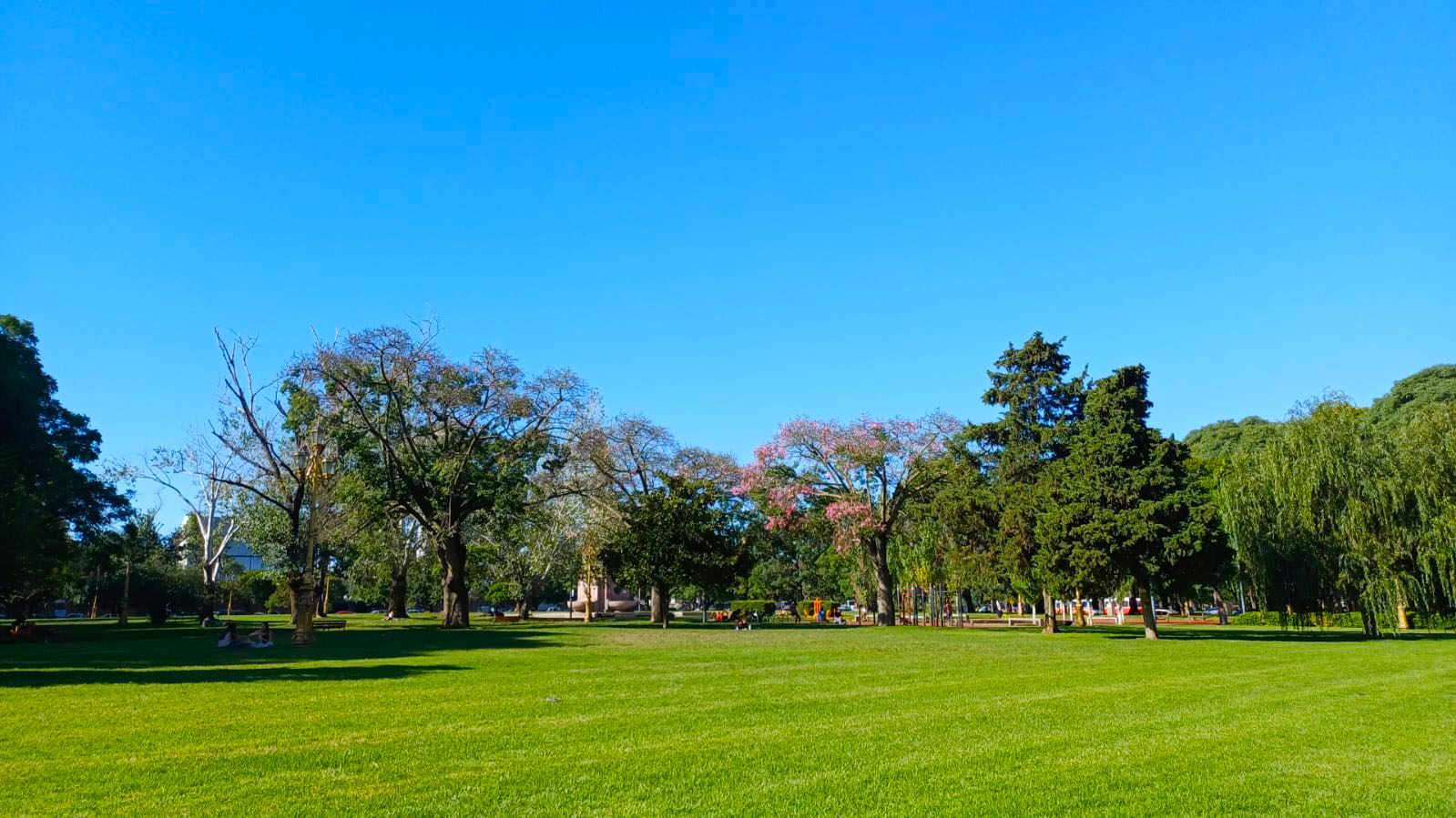 Imagen de galería 1