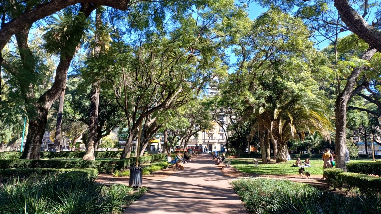 Imagen de galería 1