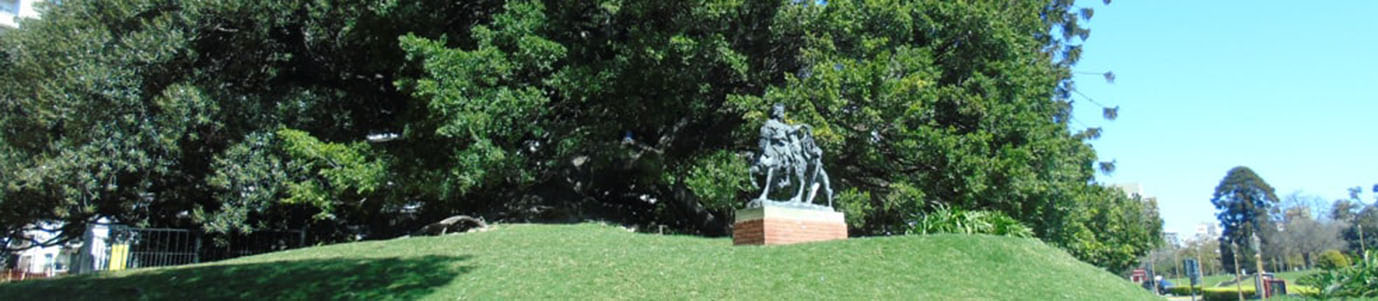 Plaza San Martín de Tours