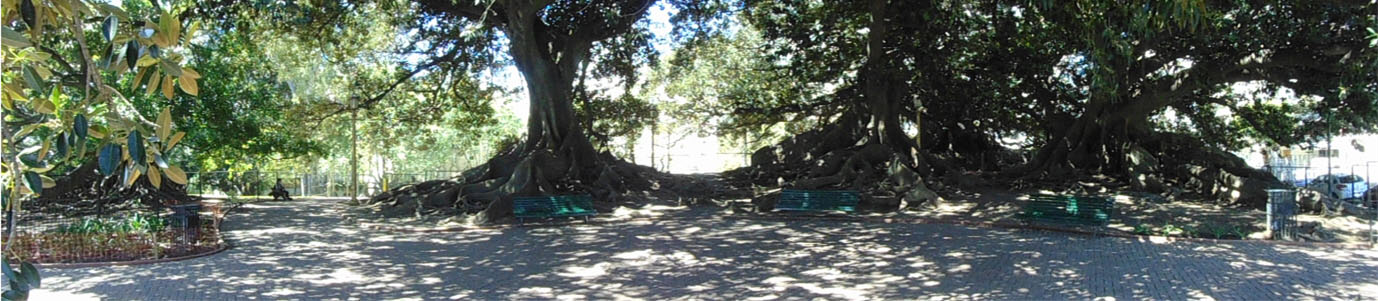 Plaza San Martín de Tours 