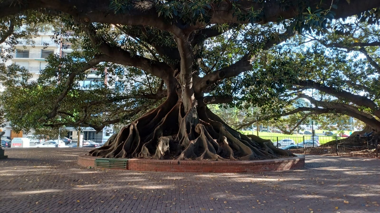 Imagen de galería 1