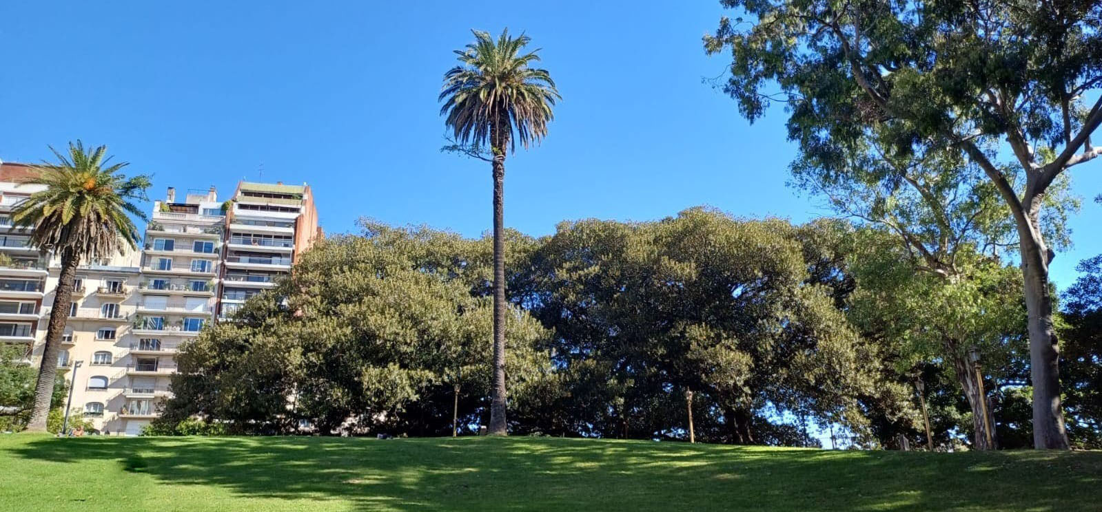 Plaza San Martín de Tours