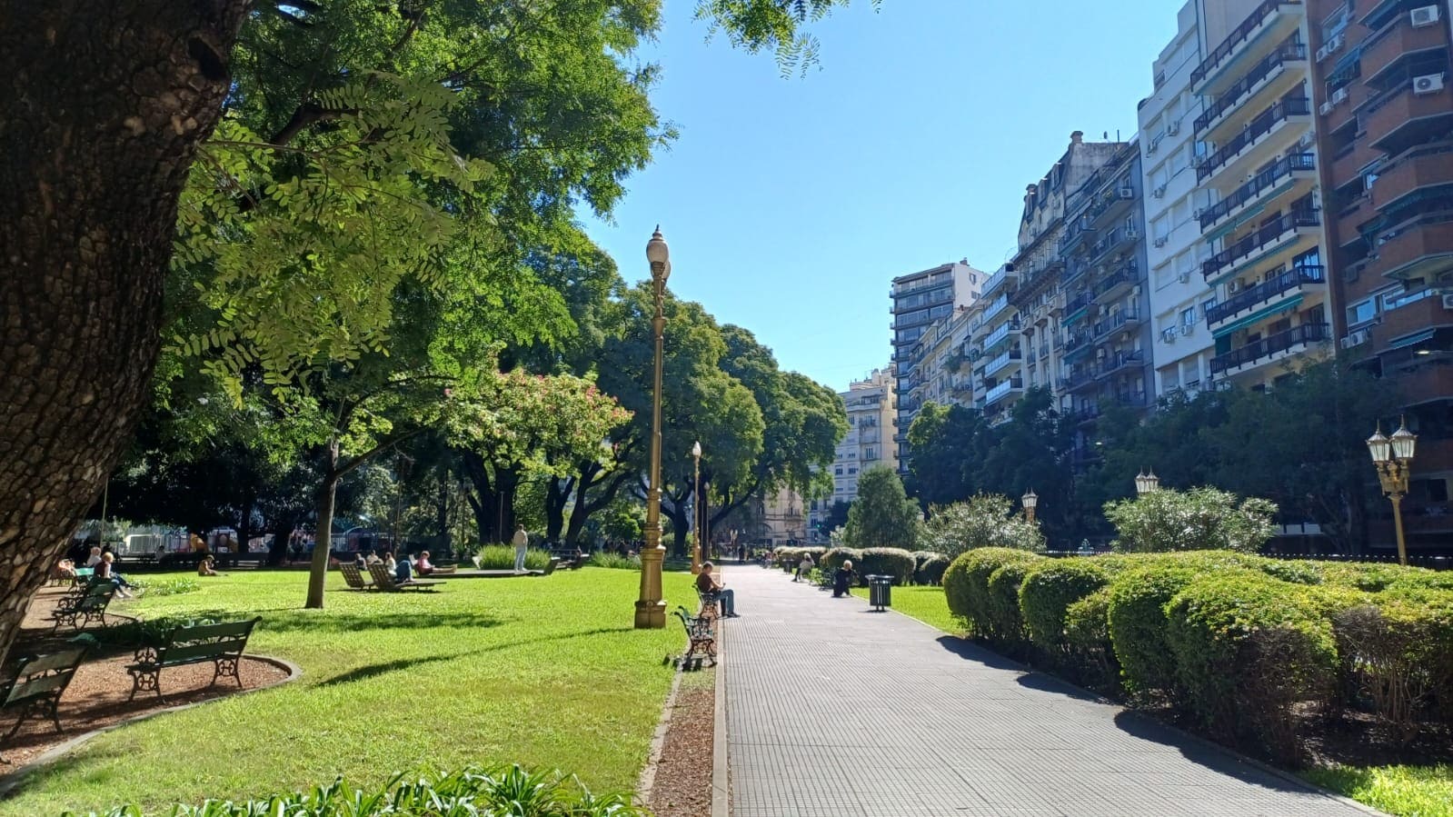 Imagen de galería 1