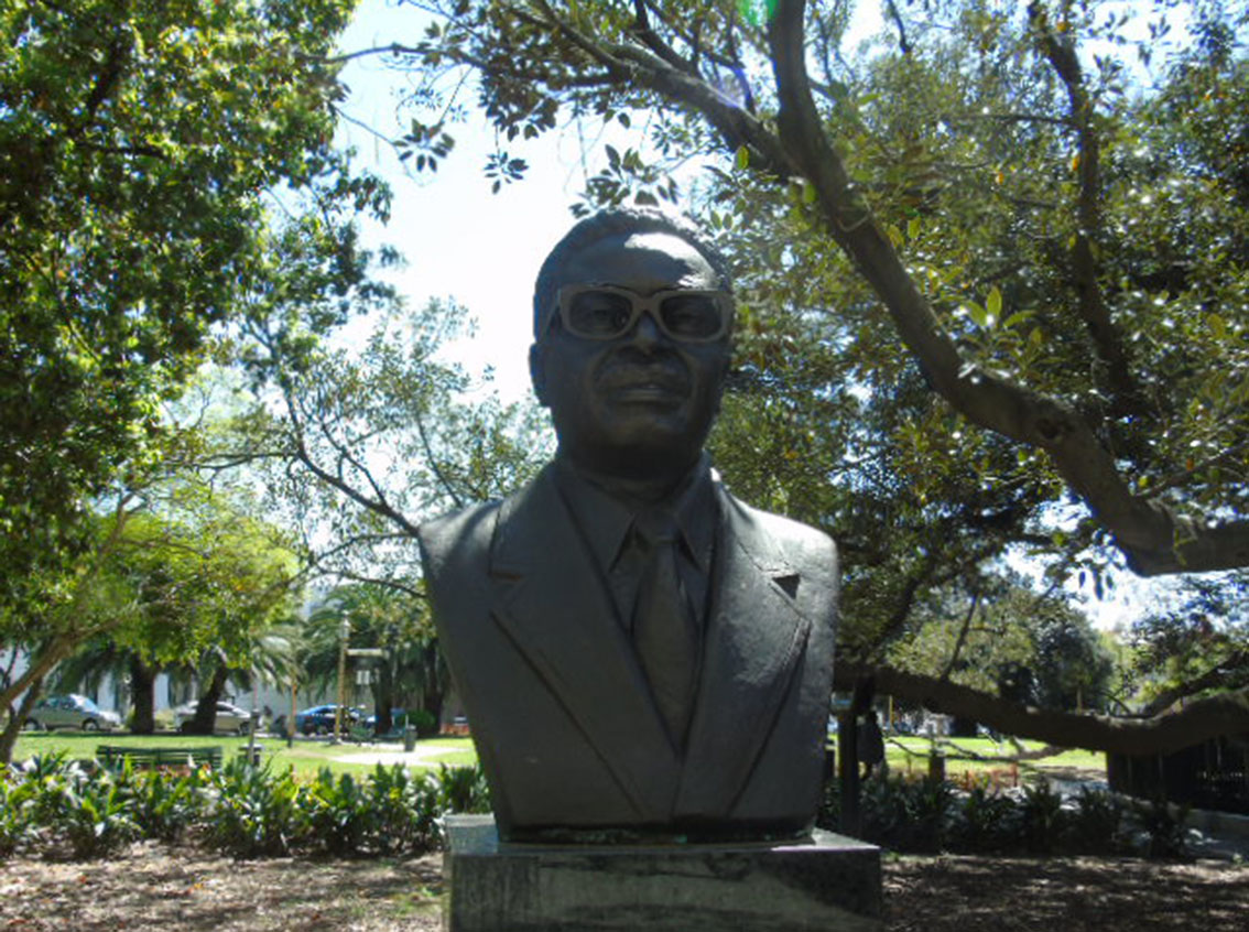 Dr.- Neto