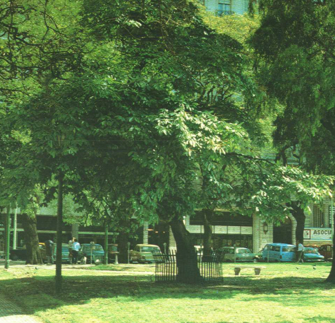 Castaño