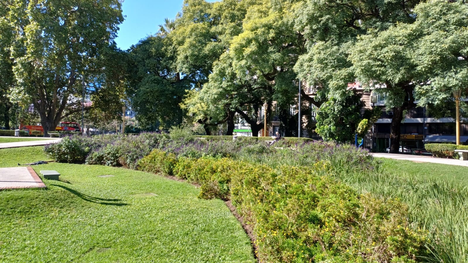 Plaza Libertad 