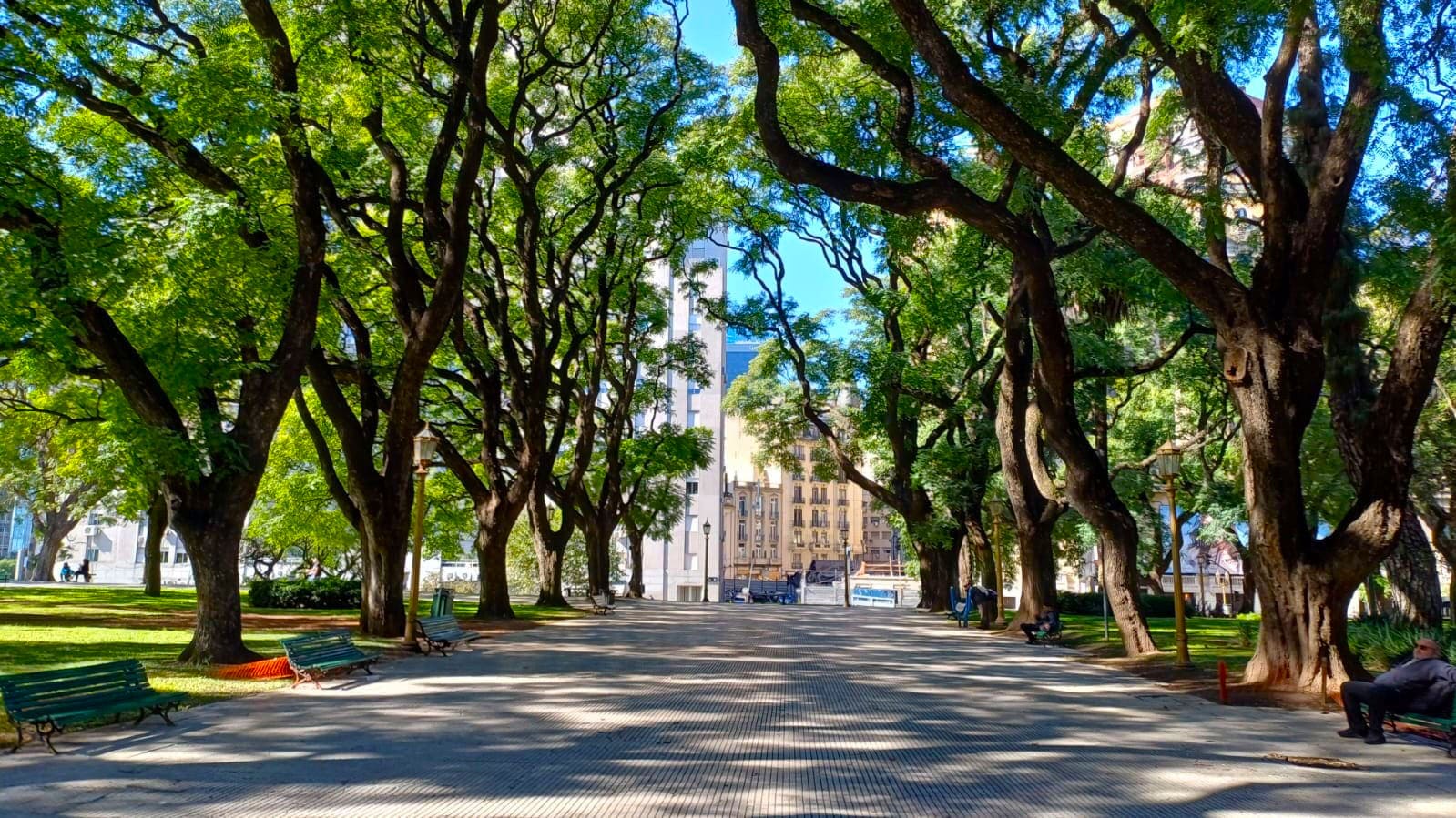 Imagen de galería 1