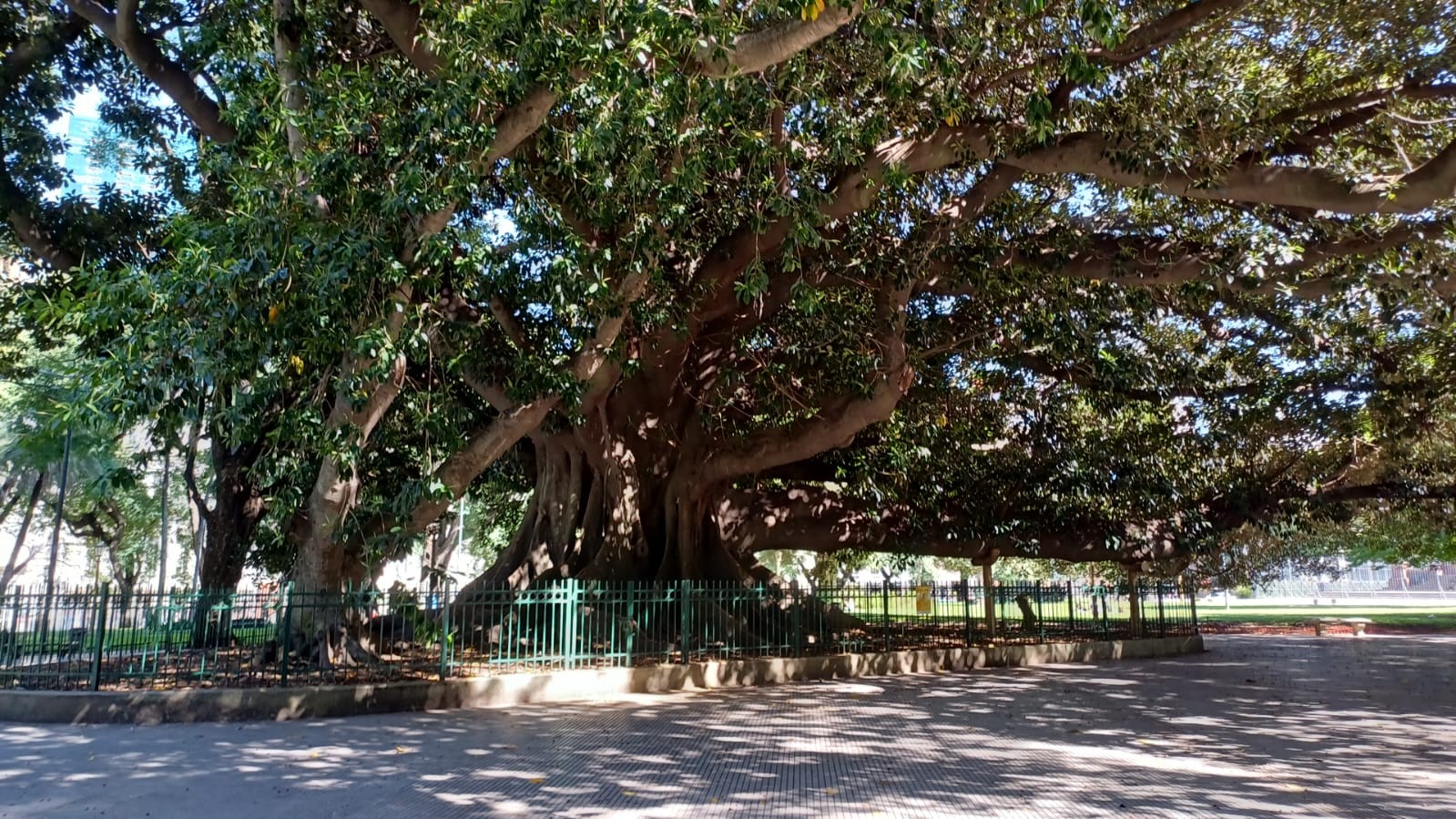 Plaza Libertador Gral. San Martín