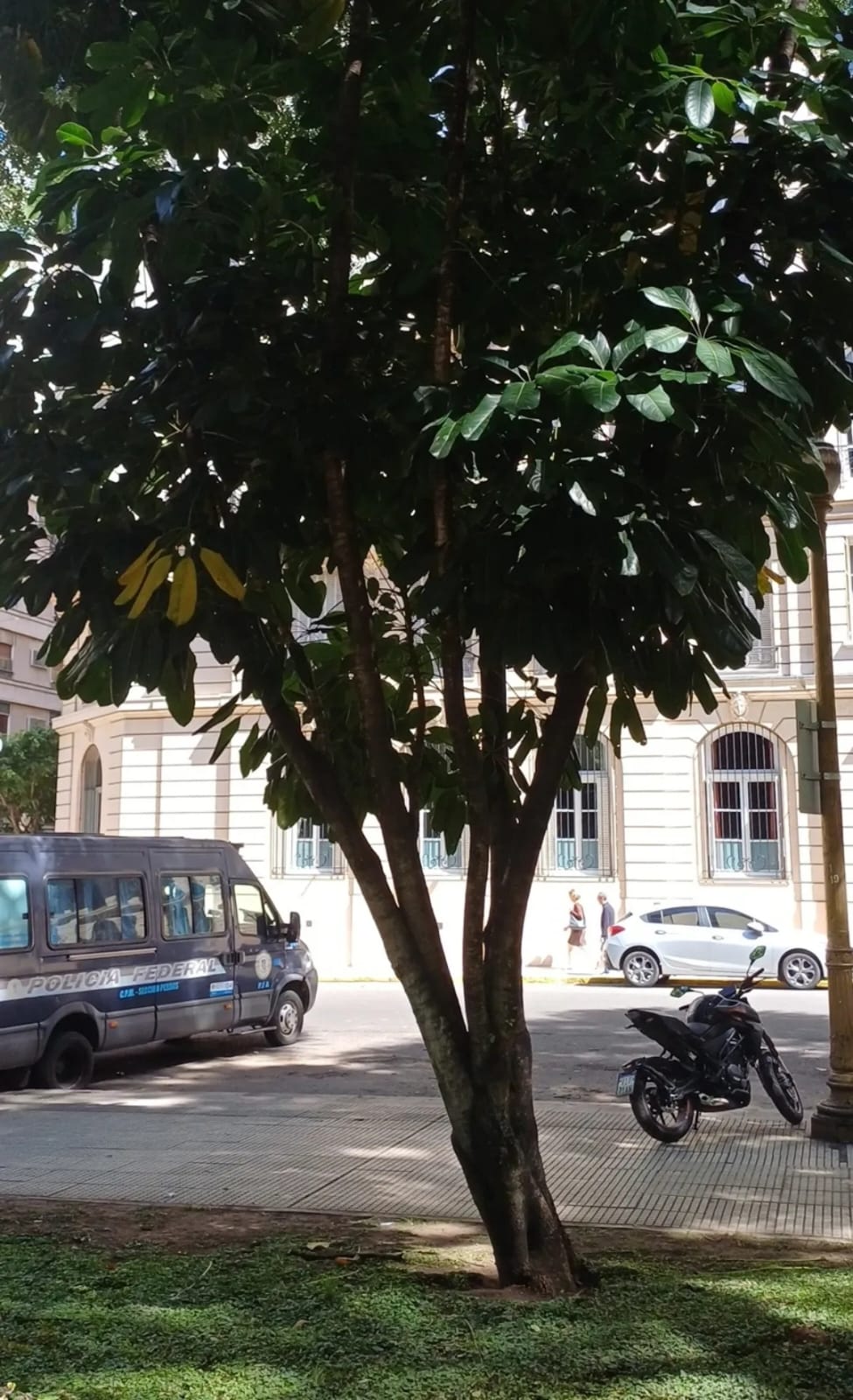 Especie Vegetal