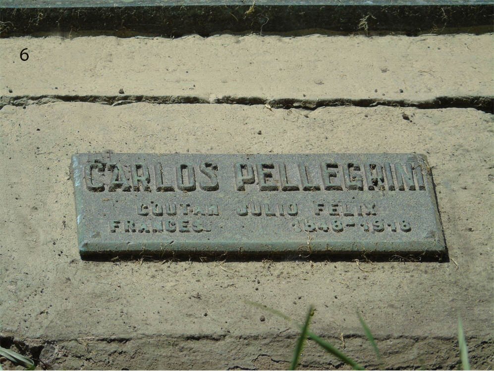 Dr. Carlos Pellegrini