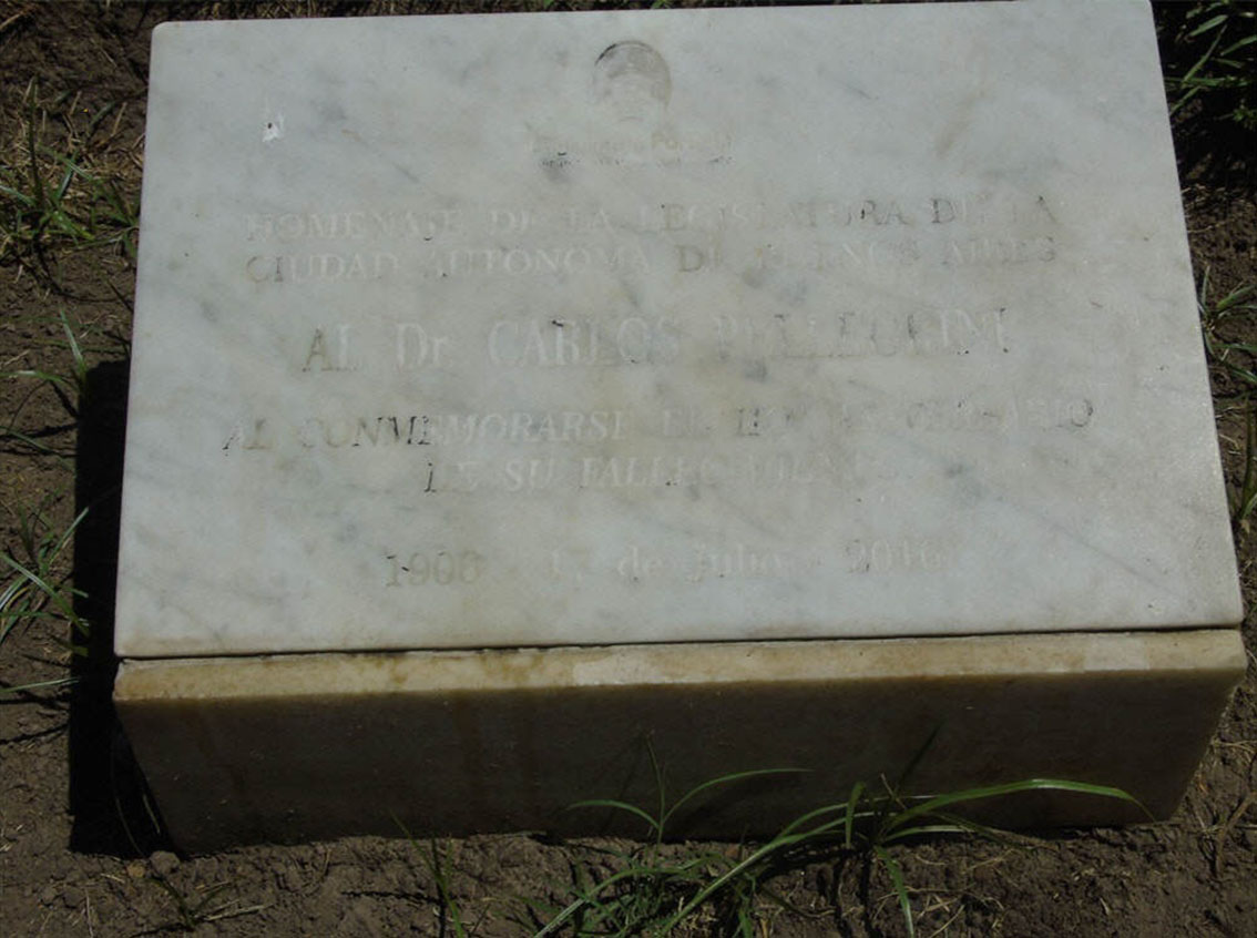 Placa 1