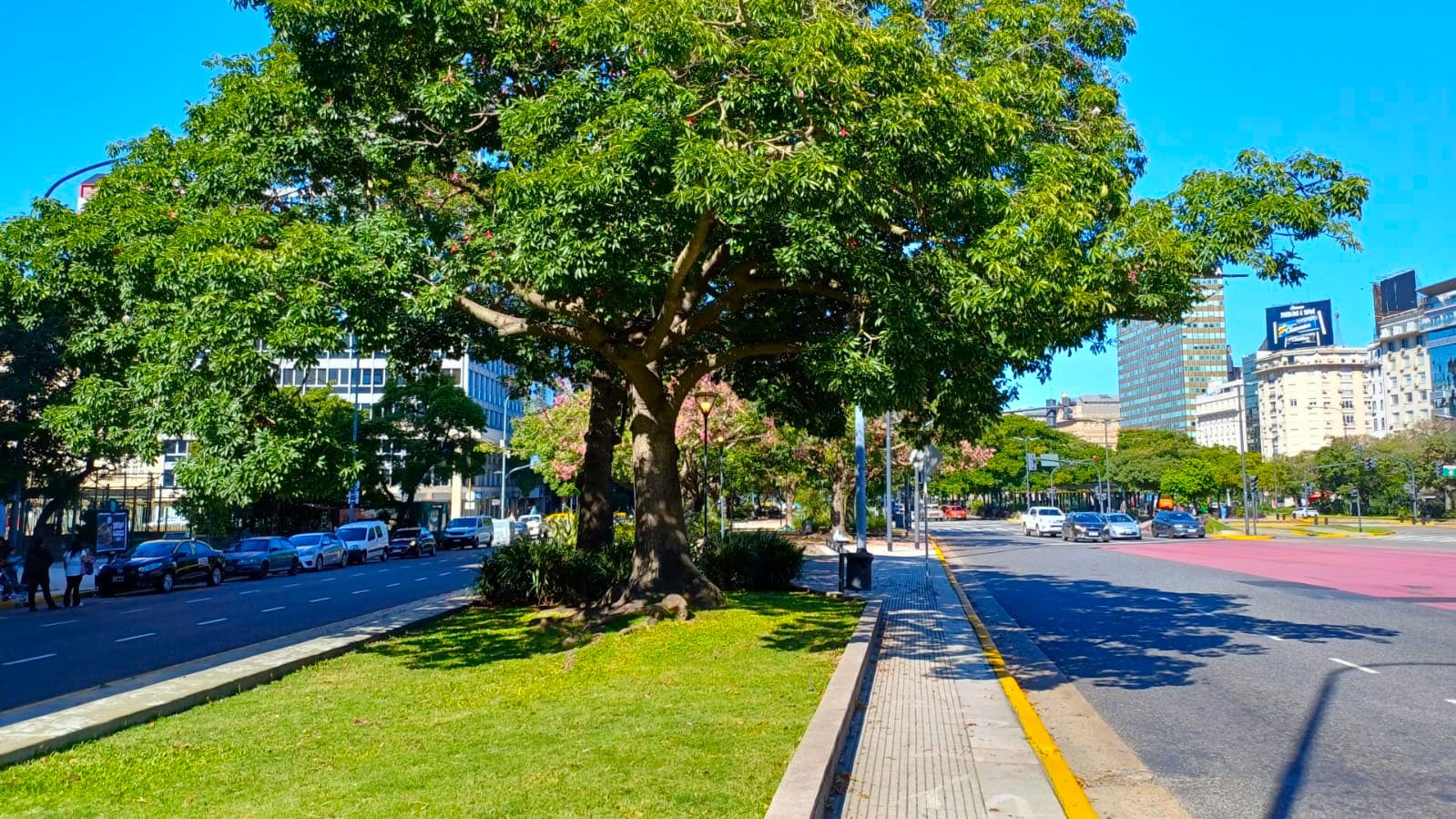 Imagen de galería 1